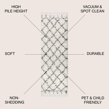 Mercer Shag Plush Tassel Moroccan Geometric Trellis Area Rug